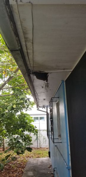 20190604_150017.jpg