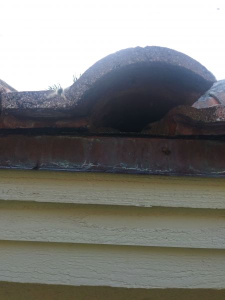 20190605_173418_HDR.jpg