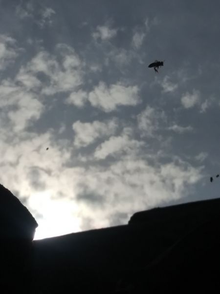 20190605_173452.jpg