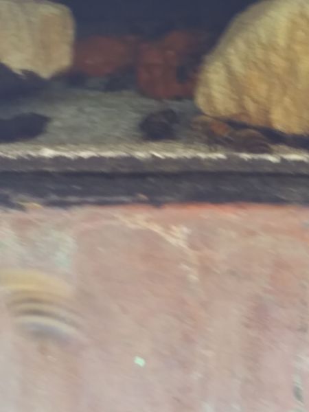 20190605_173459.jpg