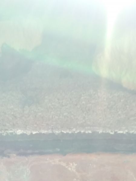 20190605_173503.jpg