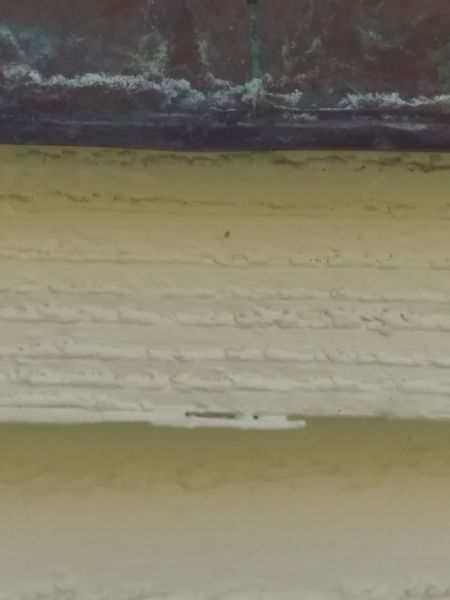 20190605_173720.jpg