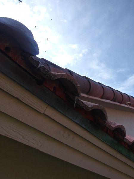 20190605_173743_HDR.jpg