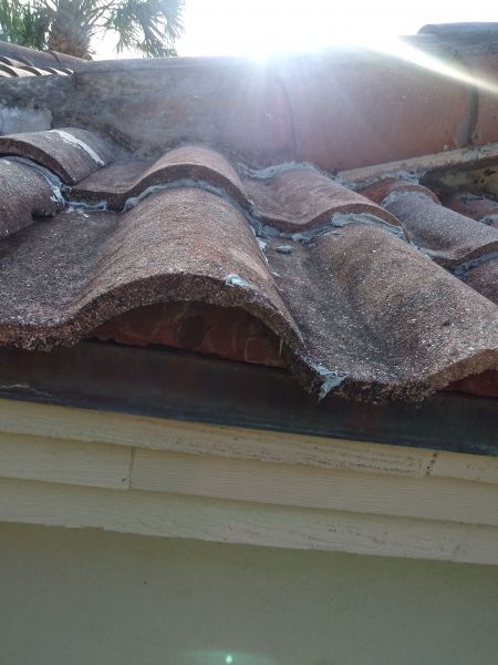 20190605_173752_HDR.jpg