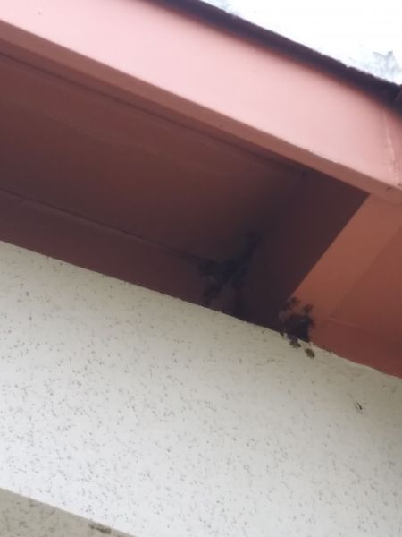 20190605_185641.jpg