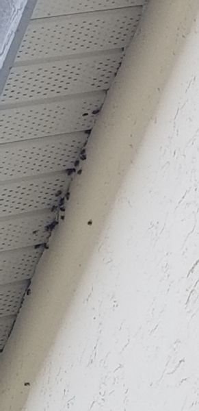 20190607_145226.jpg