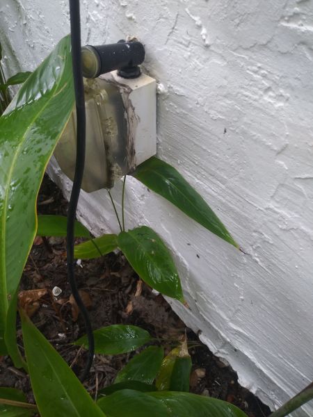 20190607_165346.jpg