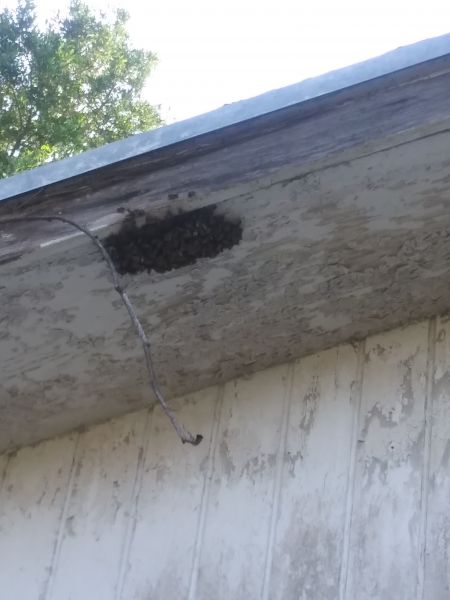 20190610_181326.jpg