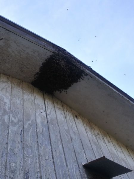 20190610_181558_HDR.jpg