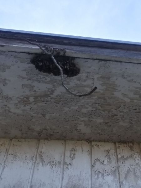 20190610_181606_HDR.jpg