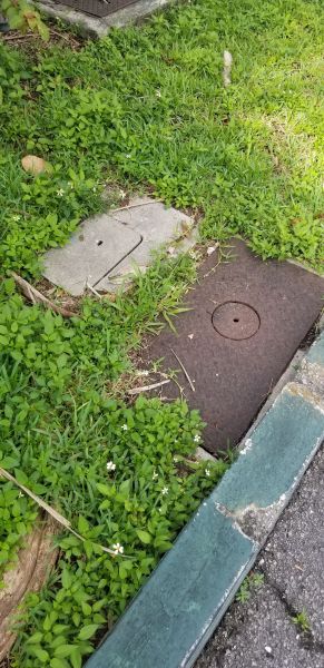 20190620_091926.jpg