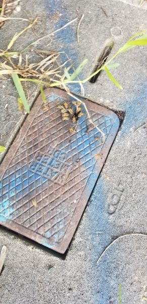 20190620_095701.jpg