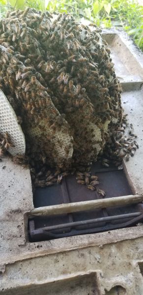 20190620_100214.jpg