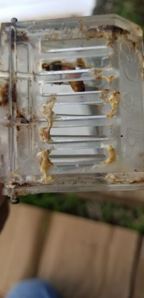 20190620_101125.jpg