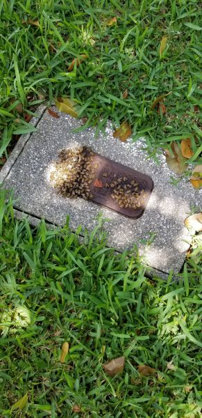 20190620_125543.jpg