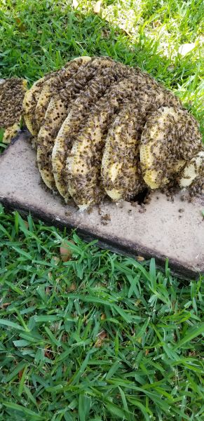 20190620_125813.jpg