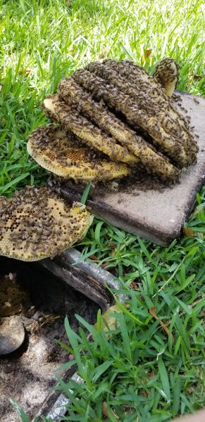 20190620_125822.jpg