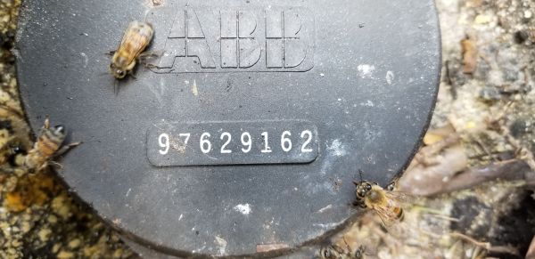20190620_125858.jpg