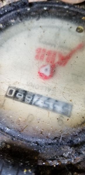 20190620_125917.jpg