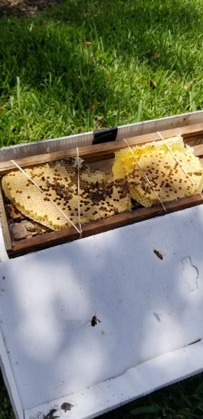 20190620_130336.jpg