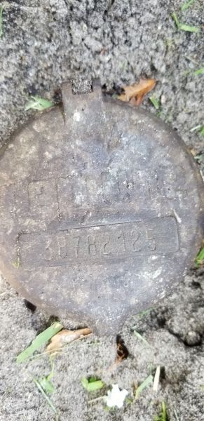 20190620_134338.jpg
