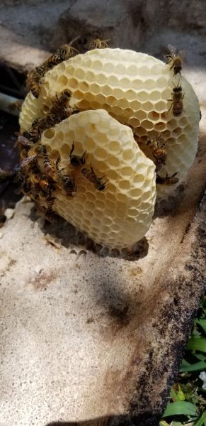 20190620_134426.jpg