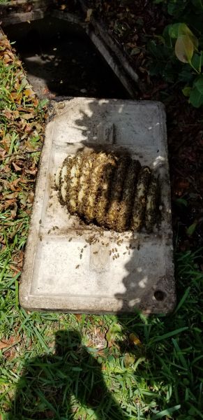 20190620_140617.jpg