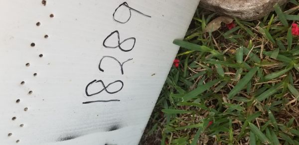 20190620_193921.jpg