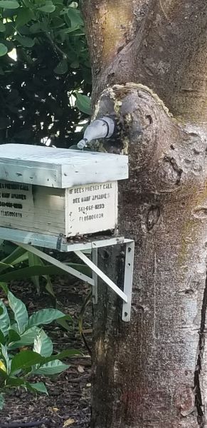 20190624_170903.jpg