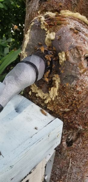 20190624_170951.jpg