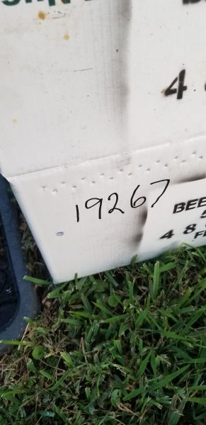 20190624_195825.jpg