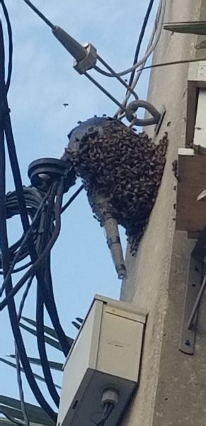 20190625_192522.jpg