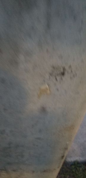 20190625_203541.jpg