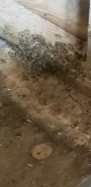 20190627_151611.jpg