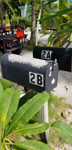 20190627_162333.jpg