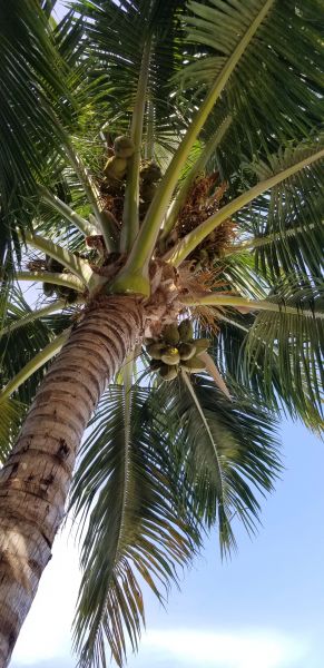 20190627_171907.jpg