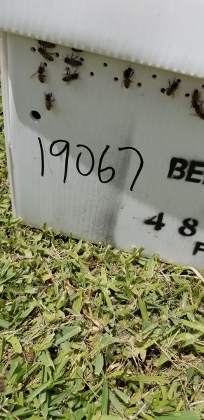 20190628_125616.jpg