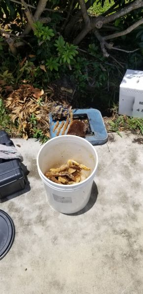 20190628_133646.jpg