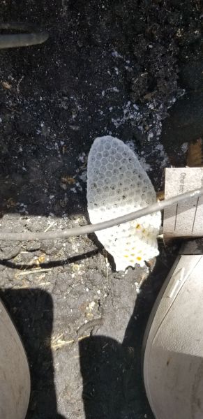 20190628_144641.jpg
