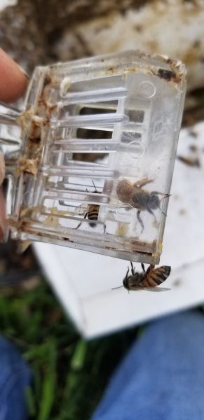 20190701_160538.jpg