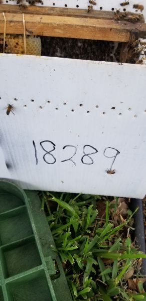 20190701_160732.jpg