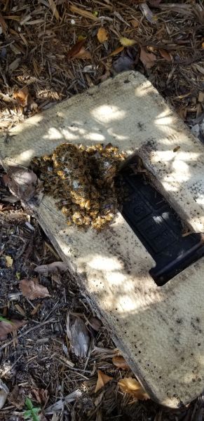 20190701_170847.jpg