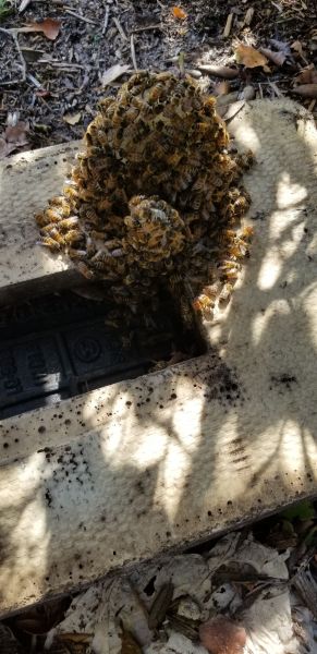 20190701_170855.jpg