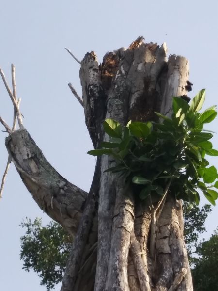 20190702_184146.jpg