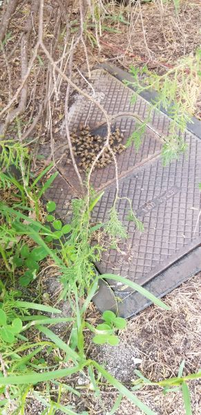 20190703_161138.jpg