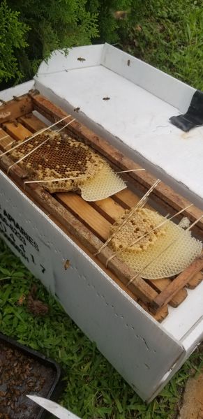 20190703_162027.jpg