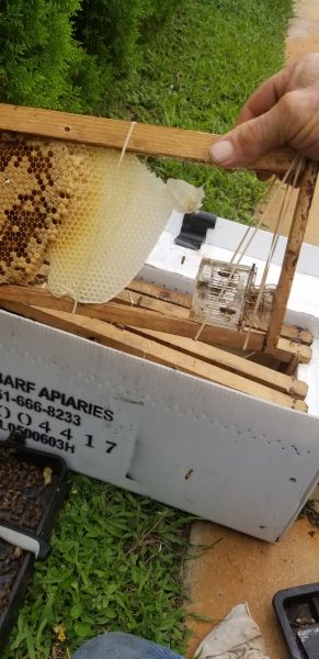 20190703_162346.jpg
