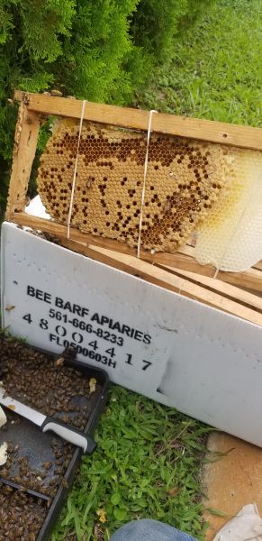 20190703_162348.jpg