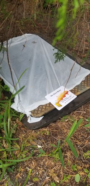 20190703_164032.jpg