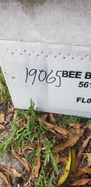 20190703_165552.jpg